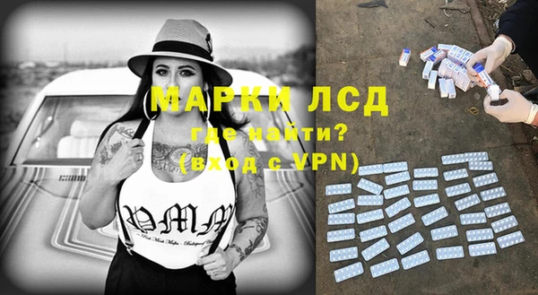 прущие грибы Баксан