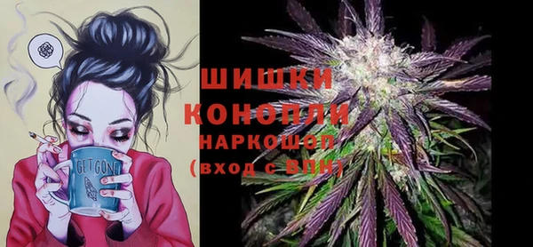 прущие грибы Баксан